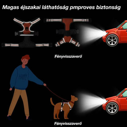 🦮Húzásmentes kutyapóráz