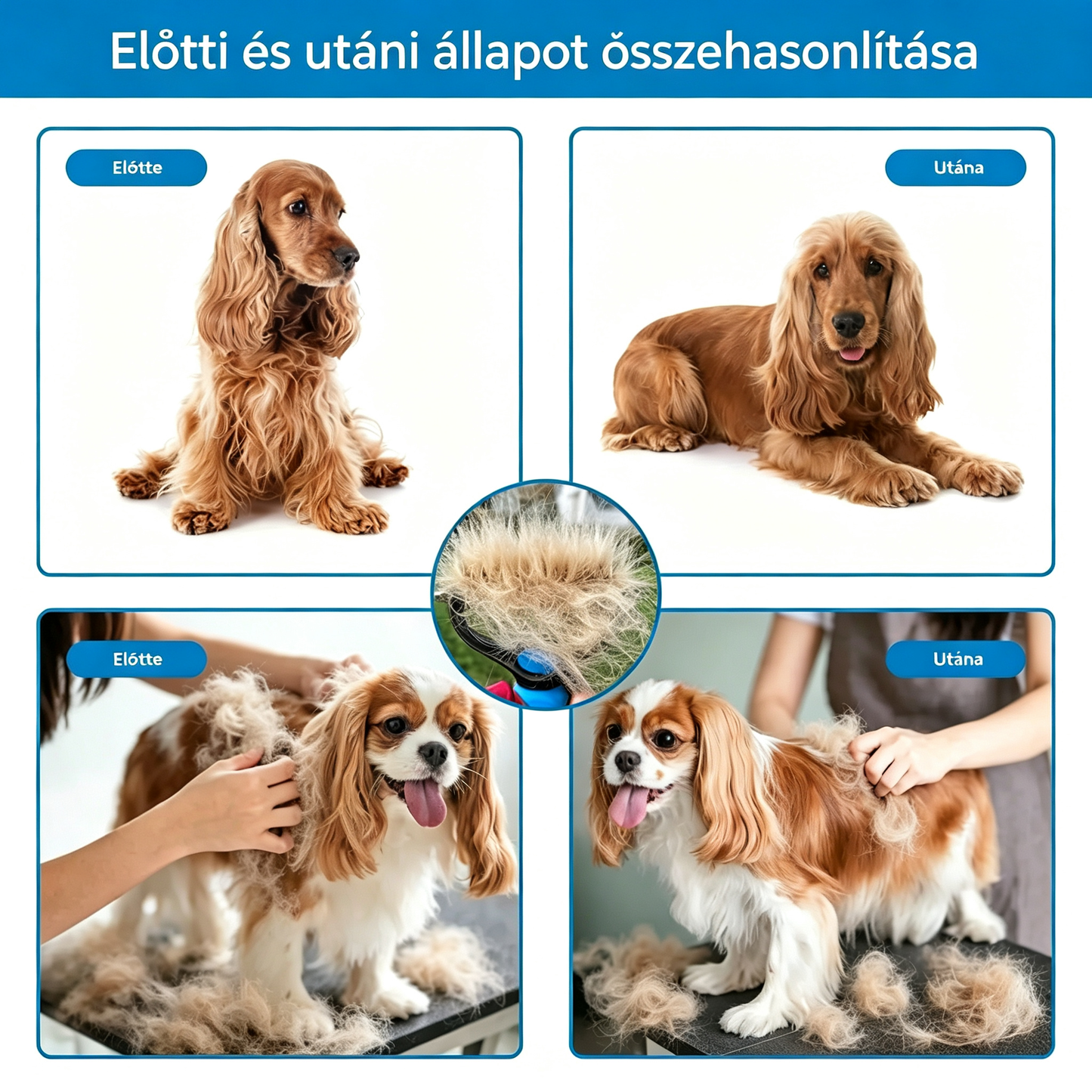 🐾🐱【Vásárolj 1-et, kapsz 2-t ingyen!】 Állatszőr-eltávolító kefe: ✨A kétoldalas, lekerekített kefefej gyorsan kibontja és eltávolítja a kihullott szőrt anélkül, hogy károsítaná kedvenced bőrét💖