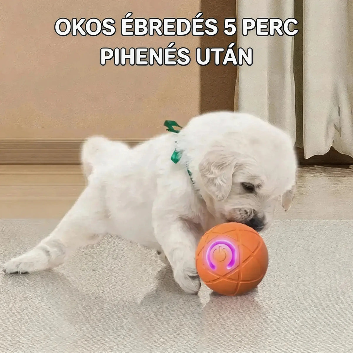 🎁【2 termék】Intelligens ugráló interaktív labda háziállatoknak🐶