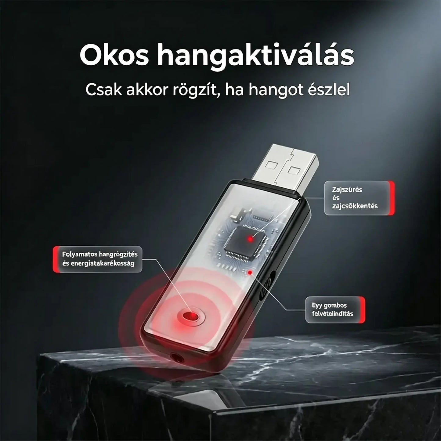 🔥【50% kedvezmény korlátozott ideig】Hordozható, nagy felbontású USB hangrögzítő zajcsökkentéssel