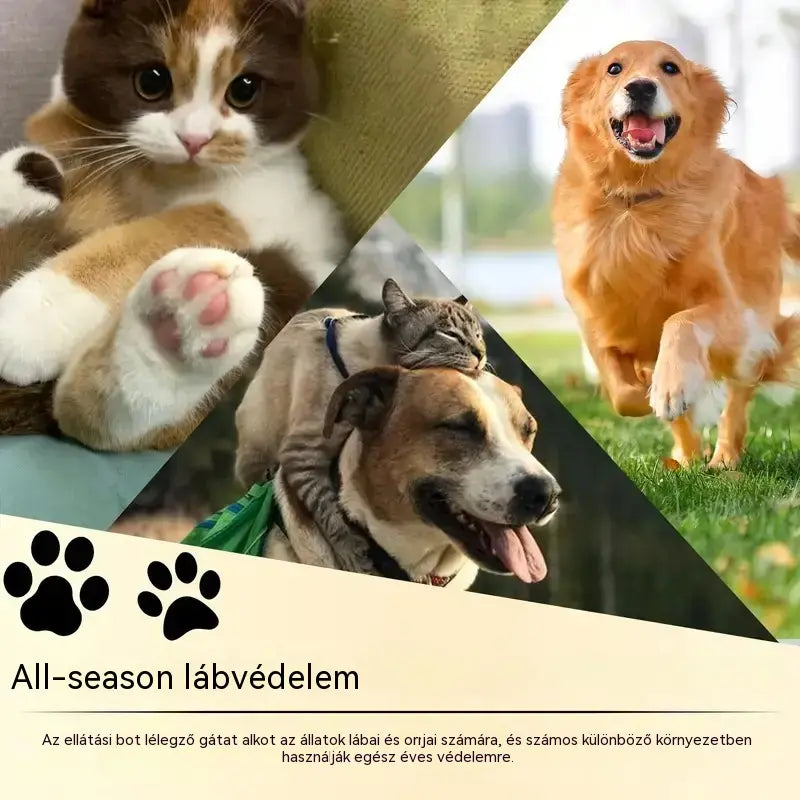 💧3 tétel 9500 Ft🐾 Hidratáló mancsbalzsam – 🐶 Kényeztesd kedvenced puha és egészséges mancsait