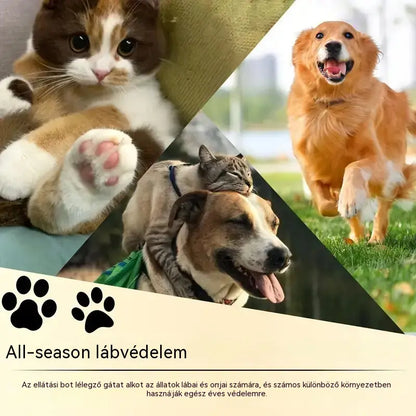 💧3 tétel 9500 Ft🐾 Hidratáló mancsbalzsam – 🐶 Kényeztesd kedvenced puha és egészséges mancsait