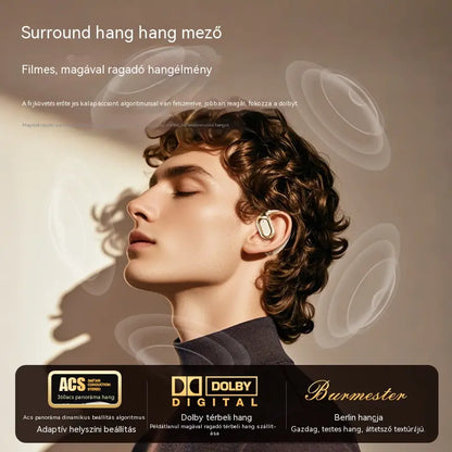 🔥【50% kedvezmény korlátozott ideig】🔋Vezeték nélküli Bluetooth fülhallgató beépített fülhorgos csontvezetés nélkül 🎙️🎧