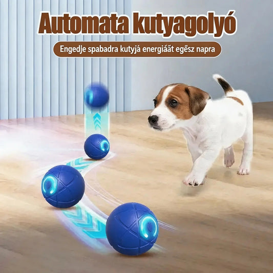 🎁【2 termék】Intelligens ugráló interaktív labda háziállatoknak🐶